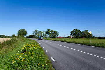 Image showing Blooming roadside