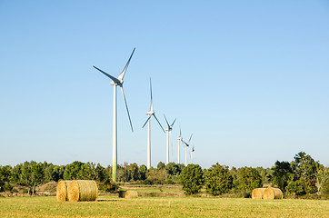 Image showing Windmills farm