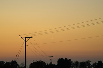 Image showing Electric lines at sunset