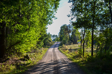 Image showing Dirt road