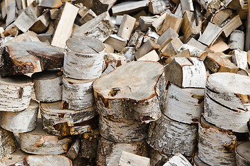 Image showing Birch fire wood, close up