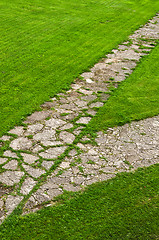 Image showing stone path through a green lawn