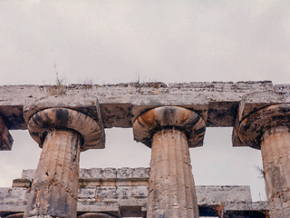 Image showing Temple, Paestum