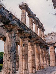 Image showing Temple, Paestum