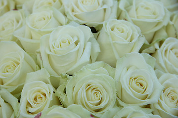 Image showing Group of white roses, wedding decorations