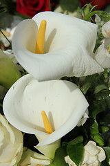 Image showing Calla Lily in white arrangement