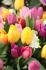 Image showing Mixed tulip bouquet