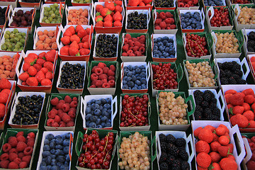 Image showing Berries in boxes