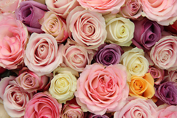 Image showing Wedding roses in pastel colors