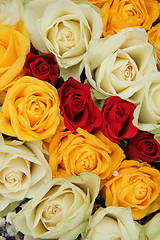 Image showing Yellow, white and red roses in a wedding arrangement