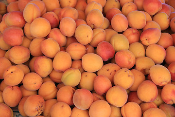 Image showing Abricots at a market