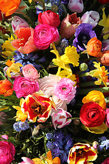 Image showing Colorful spring flowers