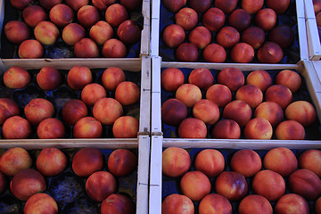 Image showing Nectarines at a market