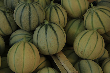 Image showing Melons at a French market