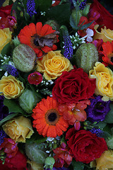 Image showing Mixed flower arrangement