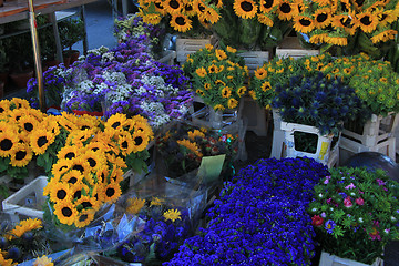 Image showing Flowers at a Provencal market