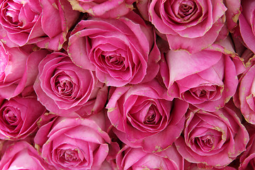 Image showing big pink roses in a wedding centerpiece