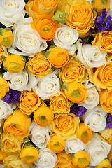 Image showing yellow and white bridal flowers