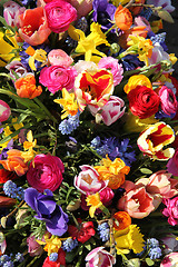 Image showing Mixed Spring Flowers