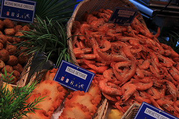 Image showing Prawns