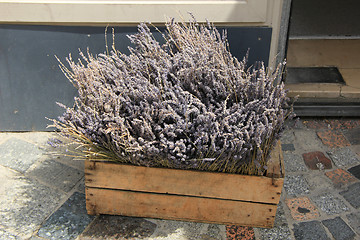 Image showing Lavender bouquets