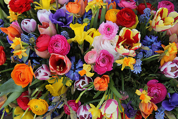 Image showing Spring flowers in bright colors