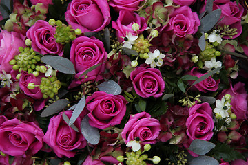 Image showing purple pink roses