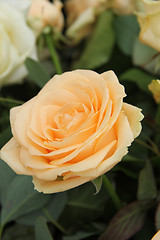 Image showing Big yellow rose