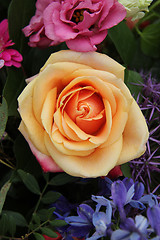 Image showing Orange pink rose in a mixed bouquet