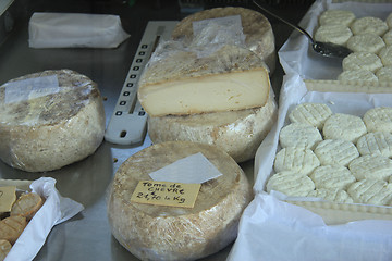 Image showing Goat cheese at a Provencal market