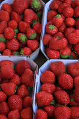 Image showing Strawberries in boxes