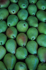 Image showing Pears