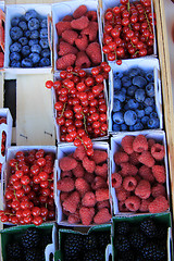 Image showing Berries in boxes