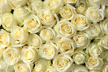 Image showing Group of white roses in floral wedding decorations