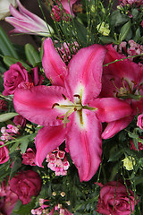 Image showing Big pink lily