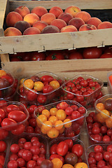 Image showing Small tomatoes at a market