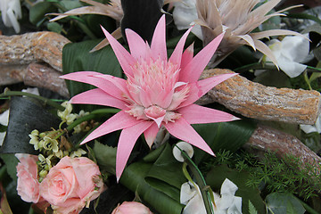 Image showing Pink bromelia in a flower arrangement