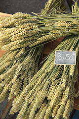 Image showing wheat bouquets