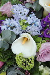 Image showing Calla lily in a blue purple arrangement