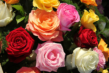 Image showing Multicolored roses in flower arrangement