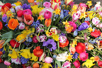 Image showing Mixed Spring Flowers