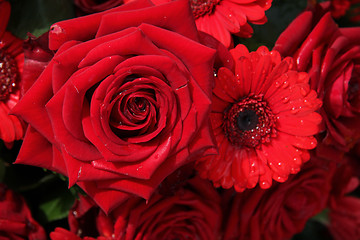 Image showing Red roses and gerberas