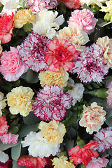 Image showing Pastel carnations