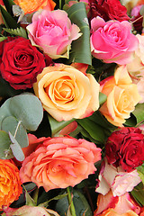 Image showing Mixed rose bouquet