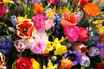 Image showing Colorful spring flowers