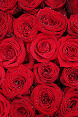 Image showing Big group of red roses