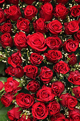 Image showing Red roses and small white berries