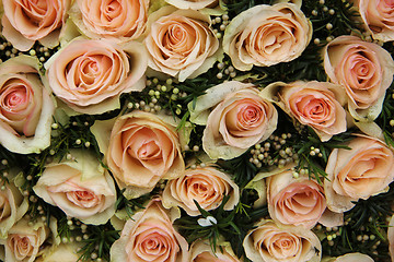 Image showing pale pink wedding roses