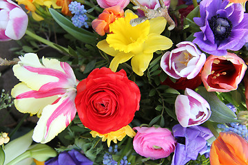 Image showing Spring flowers in bright colors