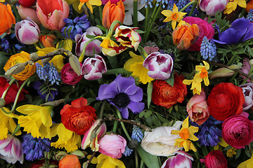 Image showing Colorful spring flowers